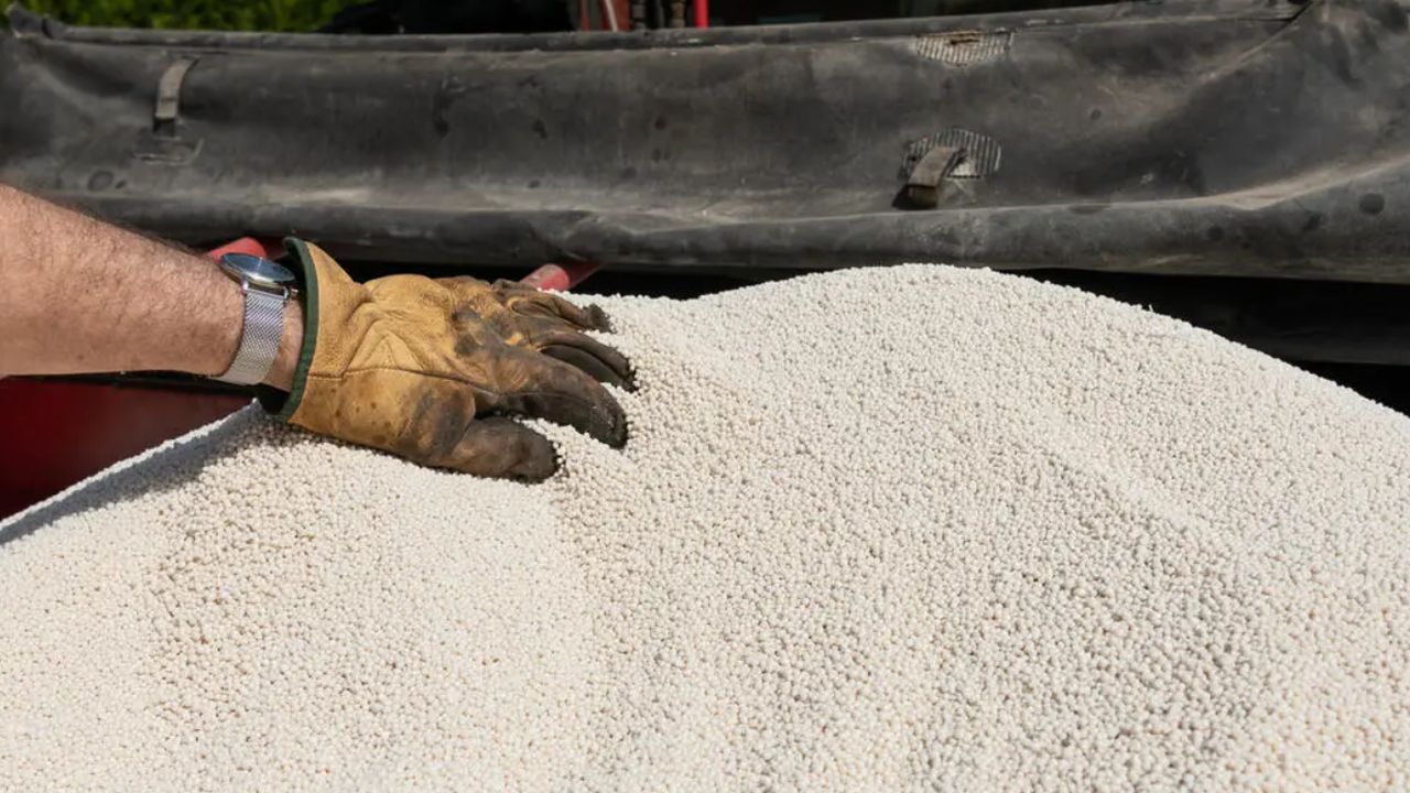 Perspective pe piața îngrășămintelor din România