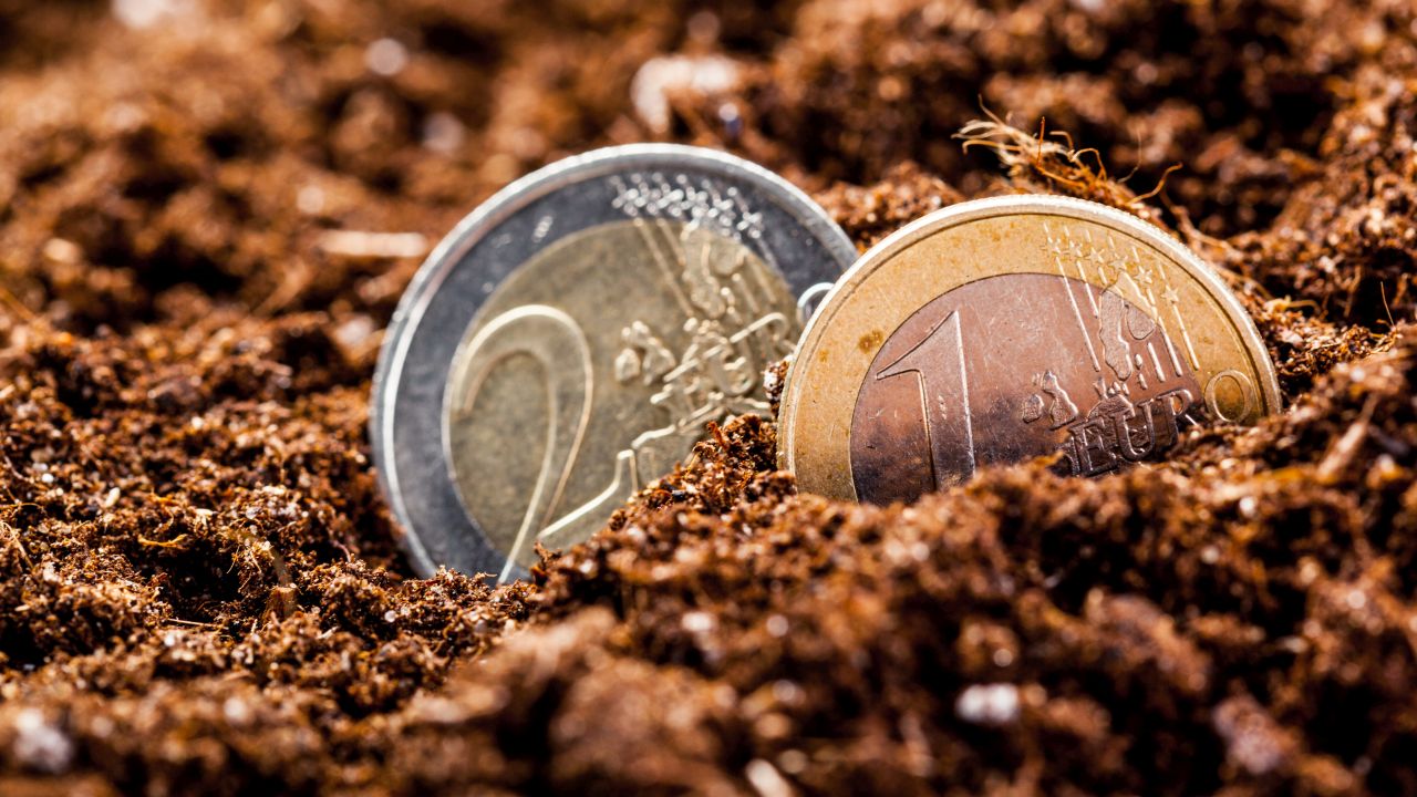 Subvenții APIA pe hectar și animale