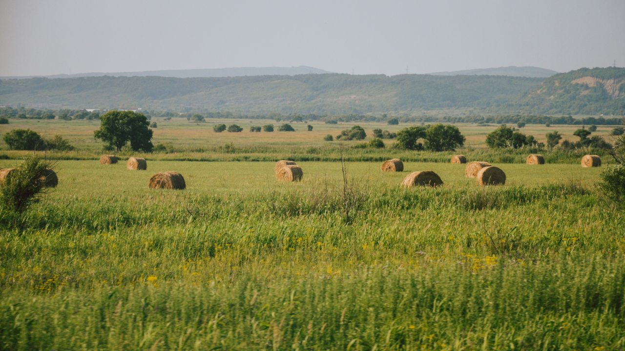 Condiții pentru contractele pe pășune