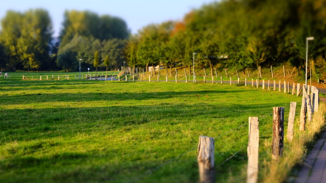 Plăți pe Agromediu