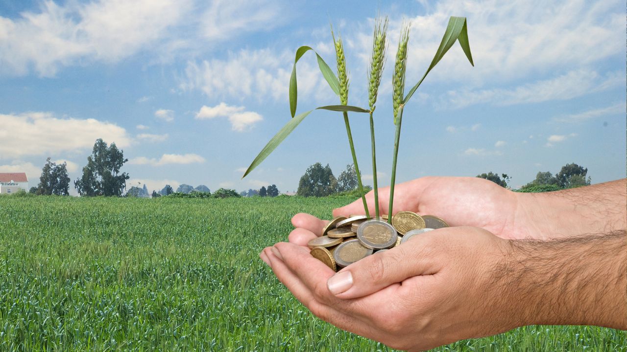 30 iunie, termen legal pentru plata subvențiilor APIA