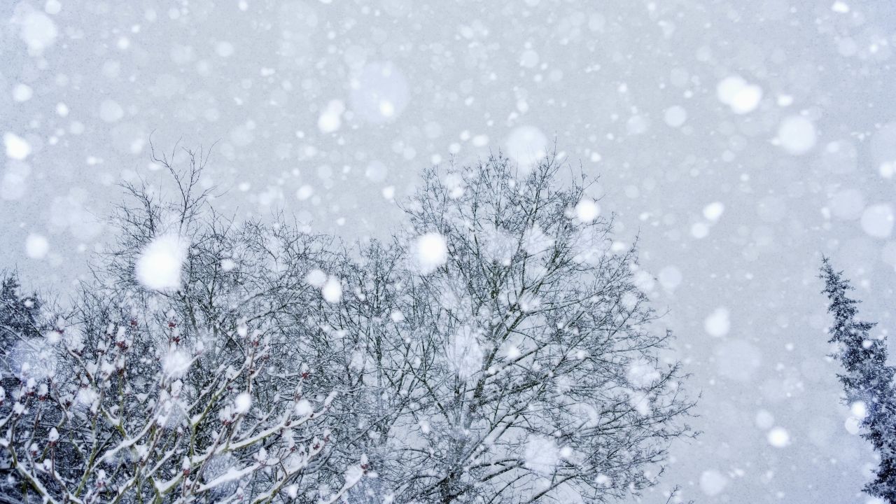 Ninsori de primăvară